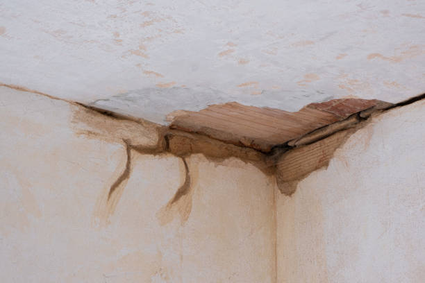 Best Water damage cleanup near me  in Hedwig Village, TX